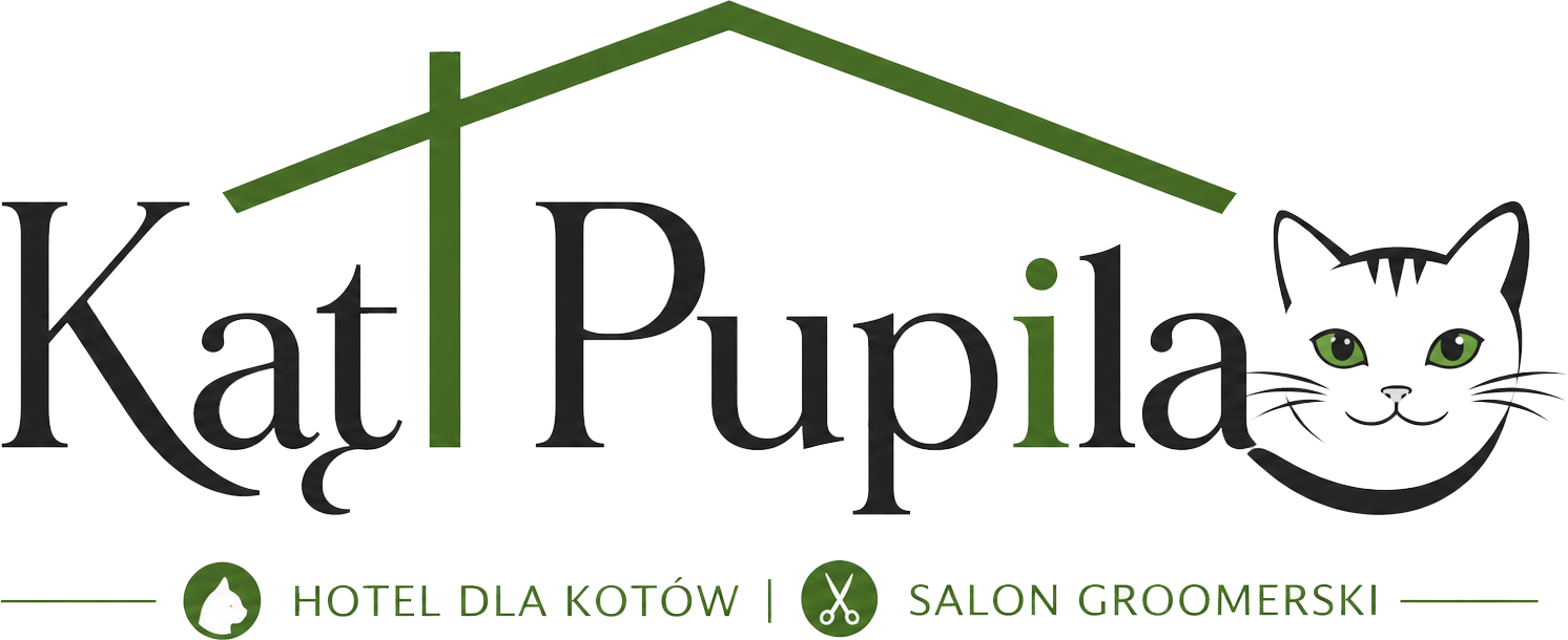 logo kąt pupila
